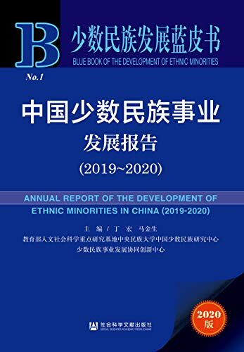 中国少数民族事业发展报告（2019～2020） (少数民族发展蓝皮书)