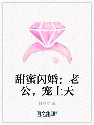 甜蜜闪婚：老公，宠上天