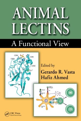 Animal Lectins: A Functional View (English Edition)
