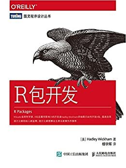 R包开发 (图灵程序设计丛书)