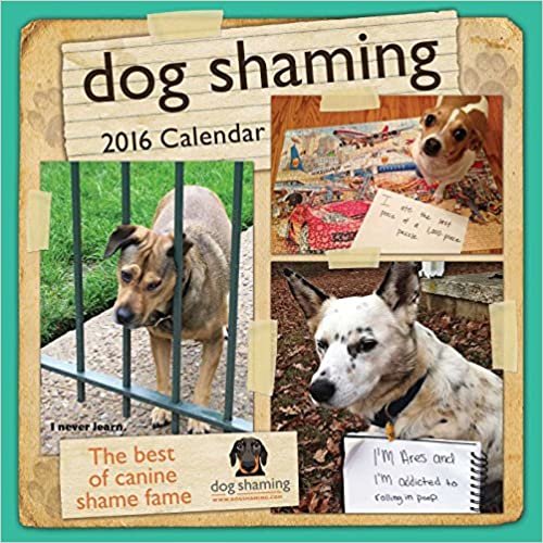 Dog Shaming 2016 挂历