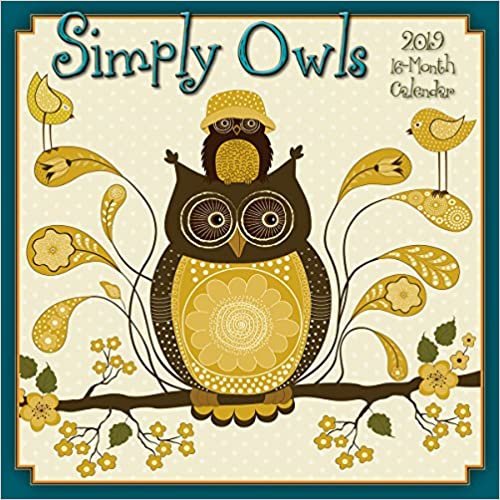 Simply Owls 2019 墙壁日历，12 x 12，(CA-0404)