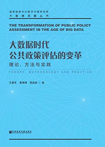 大数据时代公共政策评估的变革：理论、方法与实践 (大数据发展丛书)