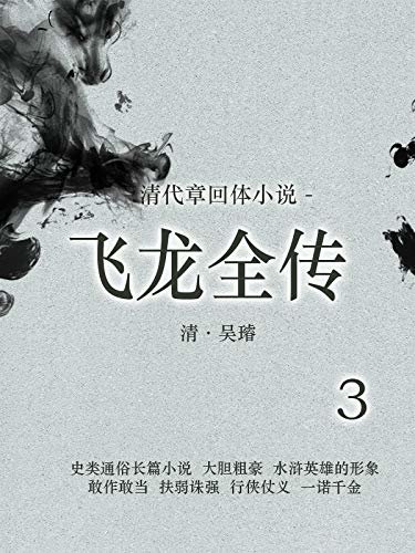 清代章回体小说 :飞龙全传3