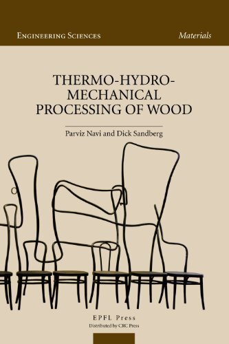 Thermo-Hydro-Mechanical Wood Processing (Engineering Sciences) (English Edition)