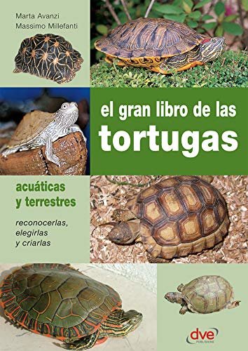 El gran libro de las tortugas (Spanish Edition)