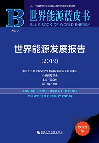 世界能源发展报告（2019） (世界能源蓝皮书)