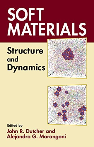 Soft Materials: Structure and Dynamics (English Edition)
