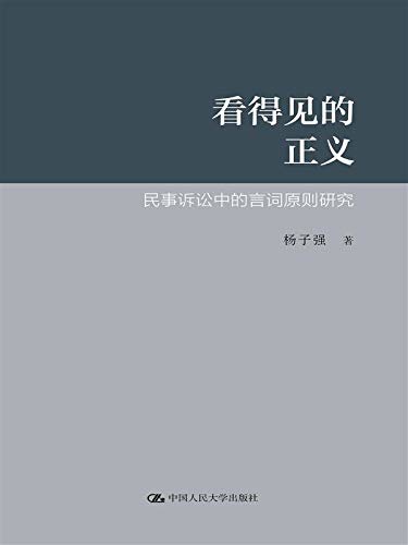 看得见的正义——民事诉讼中的言词原则研究