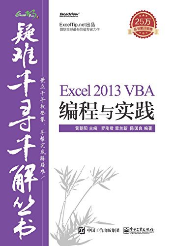 Excel 2013 VBA编程与实践 (疑难千寻千解丛书)