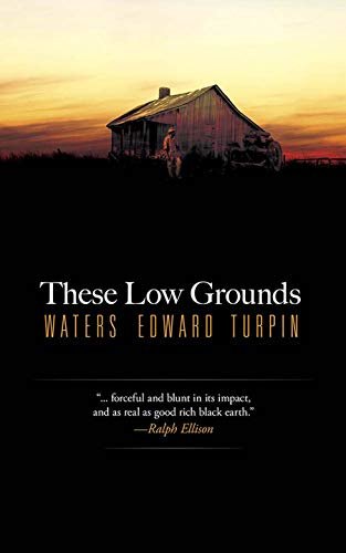 These Low Grounds (English Edition)