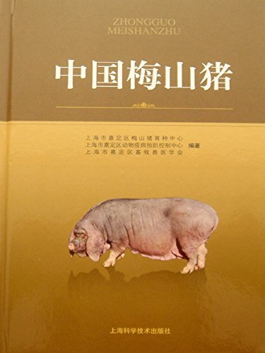 中国梅山猪