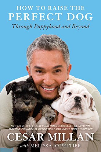How to Raise the Perfect Dog: Through Puppyhood and Beyond (English Edition)