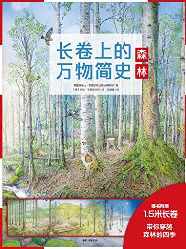 长卷上的万物简史：森林(人文与科学的全景式百科全书，帮助孩子提升科学和人文素养。带你穿越森林的四季，体验季节的变化)
