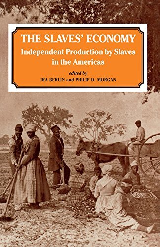 The Slaves' Economy: Independent Production by Slaves in the Americas (English Edition)