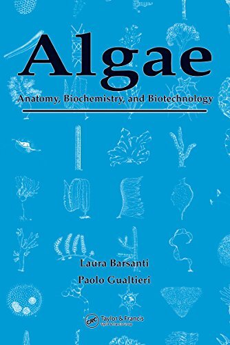 Algae: Anatomy, Biochemistry, and Biotechnology (English Edition)