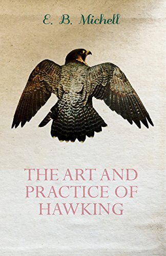 The Art and Practice of Hawking (English Edition)