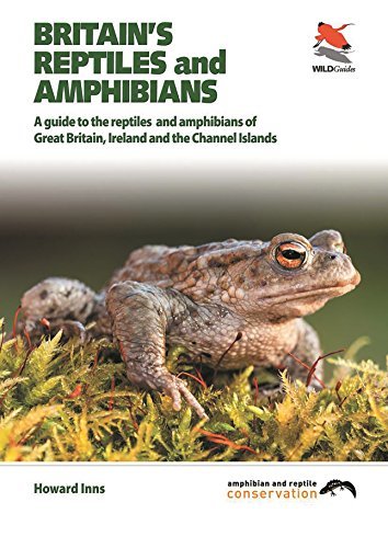 Britain's Reptiles and Amphibians (Britain's Wildlife) (English Edition)
