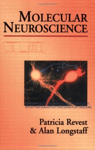 Molecular Neuroscience (English Edition)
