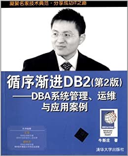 循序渐进DB2——DBA系统管理、运维与应用案例