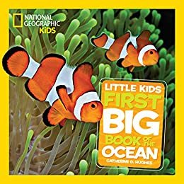 National Geographic Little Kids First Big Book of the Ocean (Little Kids First Big Books) (English Edition)