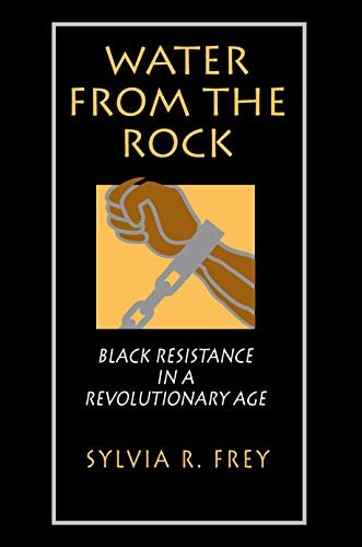 Water from the Rock: Black Resistance in a Revolutionary Age (English Edition)
