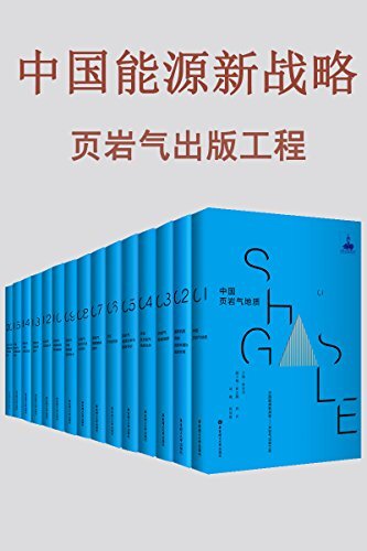 中国能源新战略——页岩气出版工程（套装共15册）