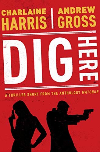 Dig Here (The MatchUp Collection) (English Edition)