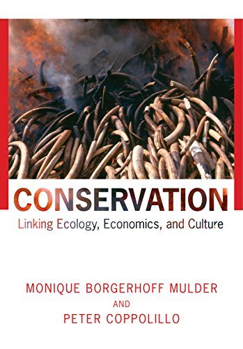 Conservation: Linking Ecology, Economics, and Culture (English Edition)