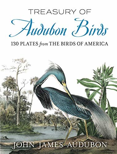 Treasury of Audubon Birds: 130 Plates from The Birds of America (English Edition)