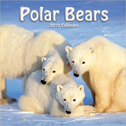 Polar Bears 2010 挂历