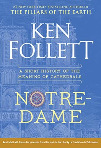 Notre-Dame: A Short History of the Meaning of Cathedrals (English Edition)