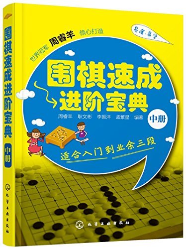 围棋速成进阶宝典(中册)(适合入门到业余三段)