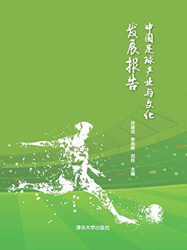 中国足球产业与文化发展报告