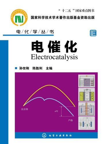 电化学丛书:电催化