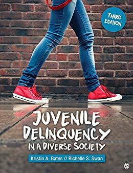 Juvenile Delinquency in a Diverse Society (English Edition)