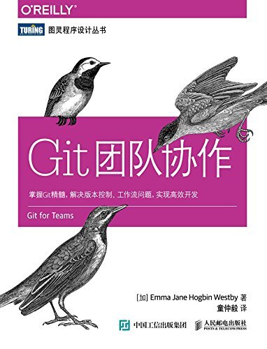 Git团队协作 (图灵程序设计丛书)