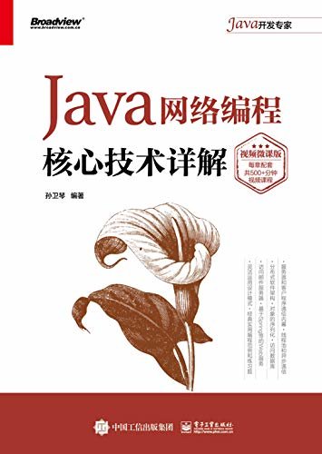 Java网络编程核心技术详解：视频微课版