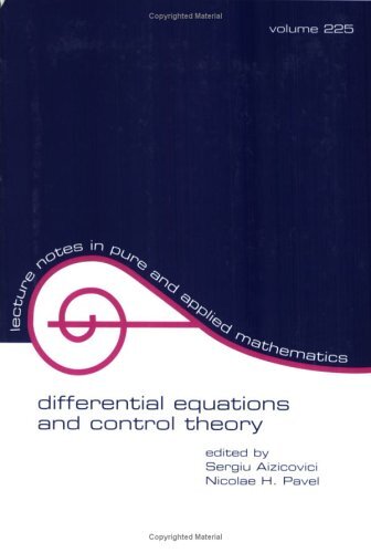 Differential Equations and Control Theory (English Edition)