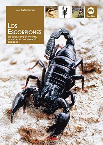 Los escorpiones (Spanish Edition)