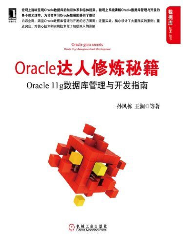 Oracle达人修炼秘籍：Oracle 11g数据库管理与开发指南 (数据库技术丛书)