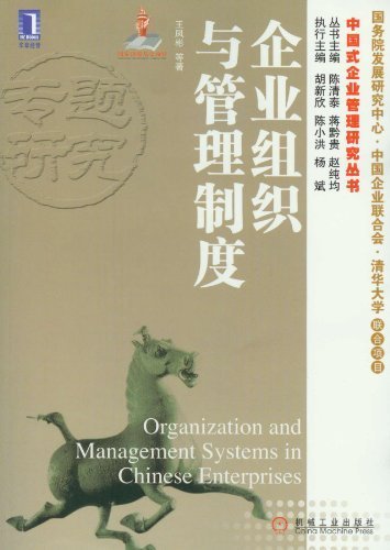 企业组织与管理制度 (中国式企业管理研究丛书)