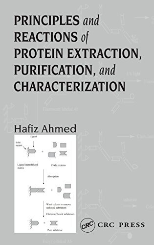 Principles and Reactions of Protein Extraction, Purification, and Characterization (English Edition)
