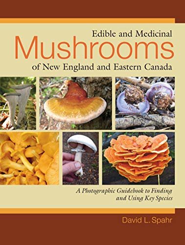 Edible and Medicinal Mushrooms of New England and Eastern Canada: A Photographic Guidebook to Finding and Using Key Species (English Edition)