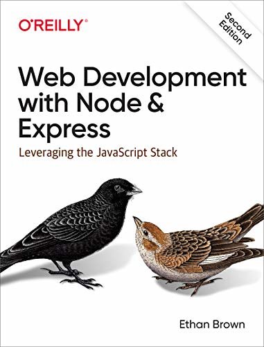 Web Development with Node and Express: Leveraging the JavaScript Stack (English Edition)