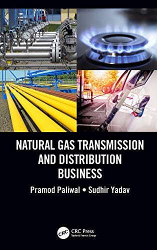 Natural Gas Transmission and Distribution Business (English Edition)