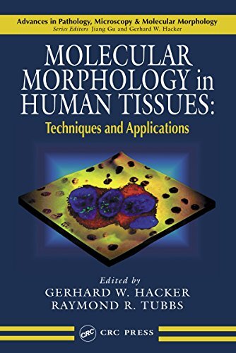 Molecular Morphology in Human Tissues: Techniques and Applications (Advances in Pathology, Microscopy, & Molecular Morphology Book 2) (English Edition)